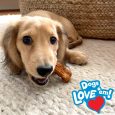 nylabone-nubz-puppy-turkey-sweet-potato-8ct-pouch-in-shelf-tray-small-edible-treats (4)