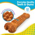 nylabone-nubz-puppy-turkey-sweet-potato-8ct-pouch-in-shelf-tray-small-edible-treats (5)