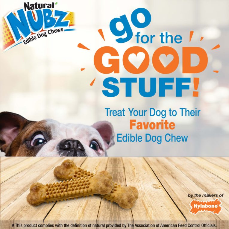 nylabone-nubz-wild-bison-4ct-card-small-edible-treats (5)