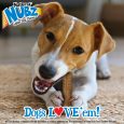 nylabone-nubz-wild-bison-4ct-card-small-edible-treats (6)
