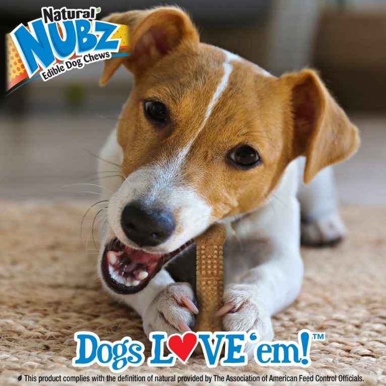 nylabone-nubz-wild-bison-4ct-card-small-edible-treats (6)