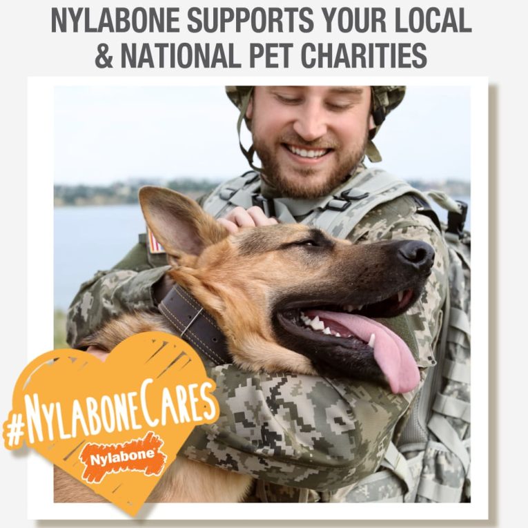nylabone-nubz-wild-bison-4ct-card-small-edible-treats (7)
