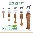 nylabone-nutri-dent-filet-mignon-textured-souper-1ct-card-souper-edible-treats (6)