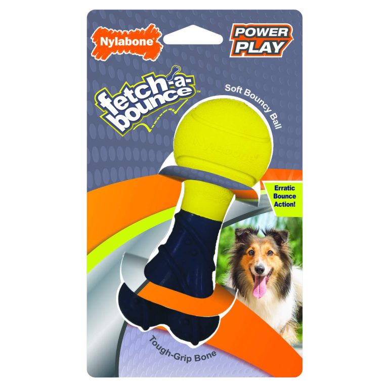 nylabone-nyla-play-fetch-a-bounce-5