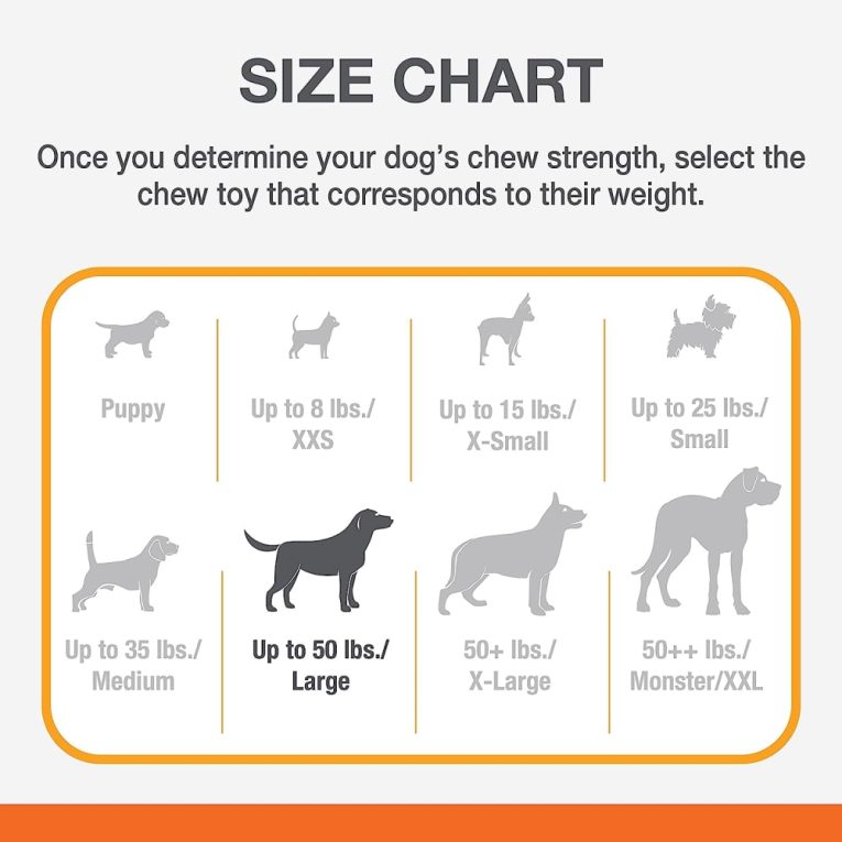 nylabone-power-chew-barbell-peanut-butter-giantsouper-nylon-chews (3)