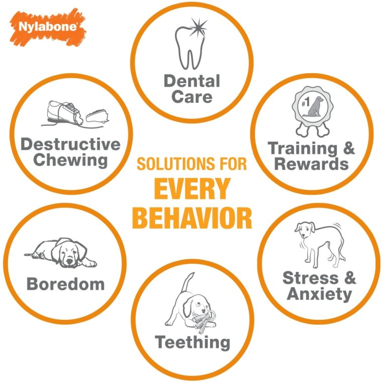 nylabone-power-chew-barbell-peanut-butter-giantsouper-nylon-chews (4)