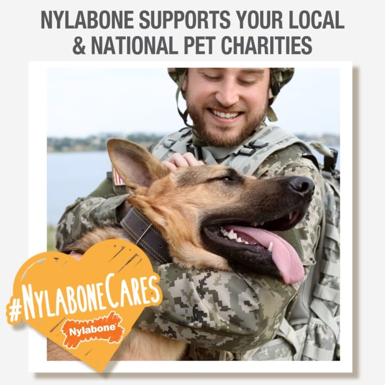 nylabone-power-chew-barbell-peanut-butter-giantsouper-nylon-chews (5)