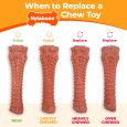 nylabone-power-chew-barbell-peanut-butter-giantsouper-nylon-chews (8)
