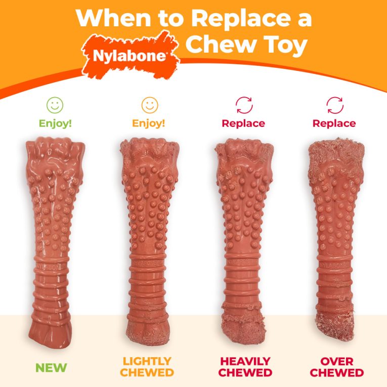 nylabone-power-chew-barbell-peanut-butter-giantsouper-nylon-chews (8)
