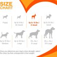 nylabone-power-chew-bone-chicken-petite-nylon-chews-toy (2)