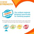 nylabone-puppy-chew-color-changing-freezer-bone-lamb-apple-regular-nylon-chews-toy (5)