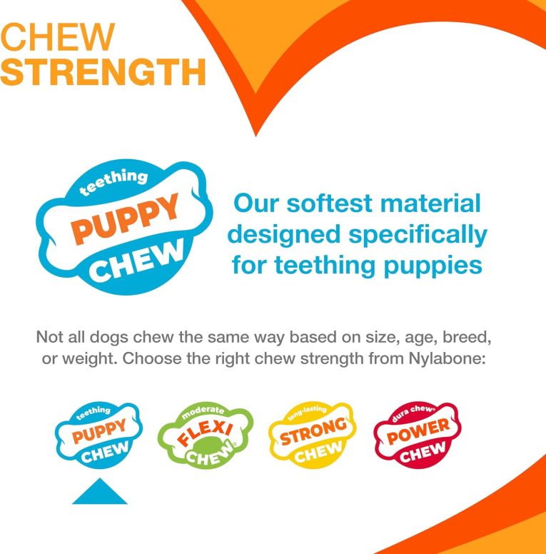 nylabone-puppy-chew-color-changing-freezer-bone-lamb-apple-regular-nylon-chews-toy (5)