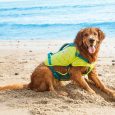 outward-hound-standley-sport-life-jacket-green-large-3