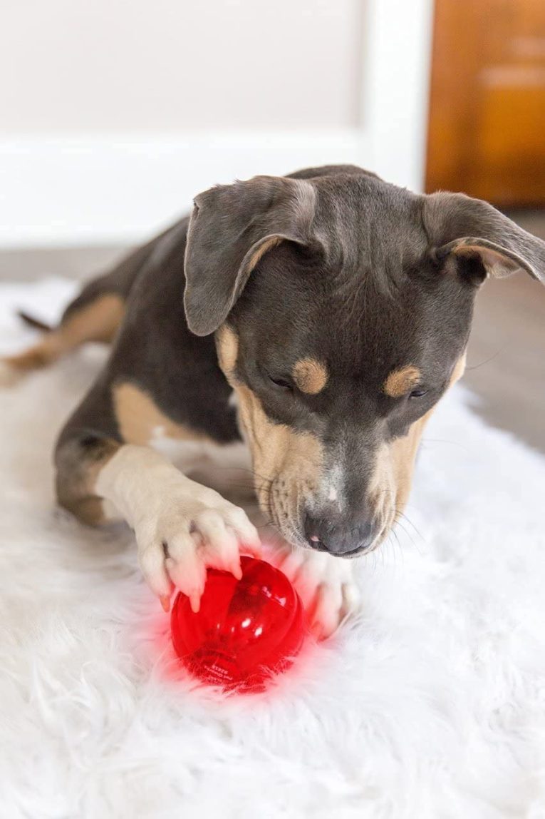 pet-qwerks-blinky-babble-ball-interactive-dog-toy (1)