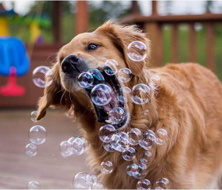 pet-qwerks-incredibubbles-peach-flavor-for-cats-and-dogs