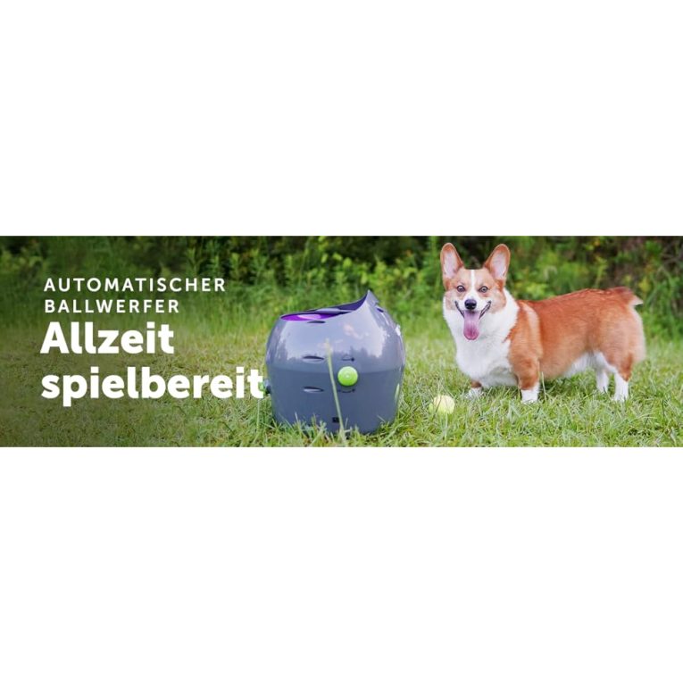 pet-safe-automatic-ball-launcher-2019-model (1)