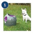 pet-safe-automatic-ball-launcher-2019-model (3)