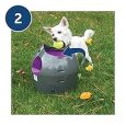 pet-safe-automatic-ball-launcher-2019-model (4)
