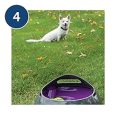 pet-safe-automatic-ball-launcher-2019-model (6)