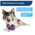 pet-safe-busy-buddy-barnacle-medium-1