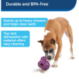 pet-safe-busy-buddy-barnacle-medium-2
