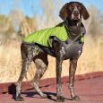 pet-stages-telluride-2-in-1-coat-green-xs (1)