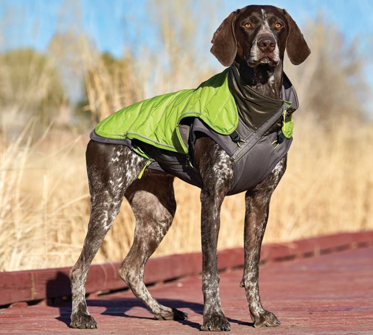 pet-stages-telluride-2-in-1-coat-green-xs (1)