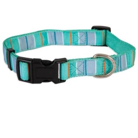 Petmate Aspen Pet Dog Collar 3/4"X14-20" Teal Stripe
