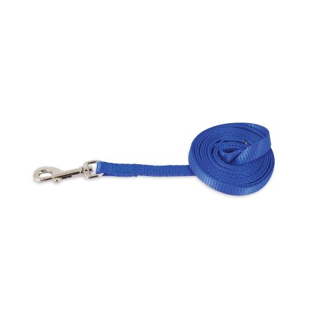Petmate Aspen Pet Nylon Dog Lead 1"X5' Royal Blue