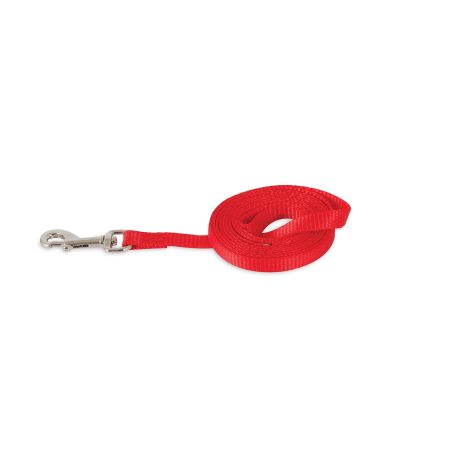 Petmate Aspen Pet Nylon Dog Lead 3/8" X 5' Red