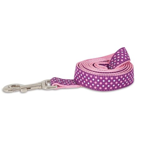 Petmate Aspen Pet Ribbon Overlay Dog Leash 1"X6' Dots Pink
