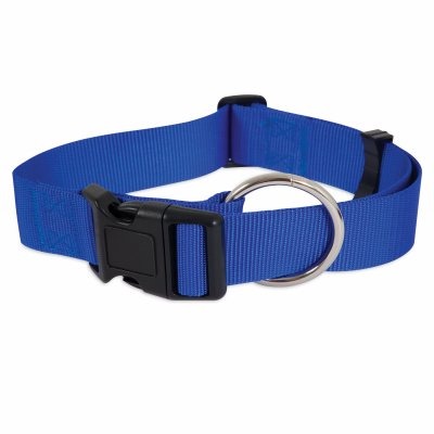 Petmate Nylon Adjustable Dog Collar 3/8"X8-14" Royal Blue