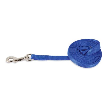 Petmate Nylon Adjustable Dog Collar 5/8"X10-16" Royal Blue