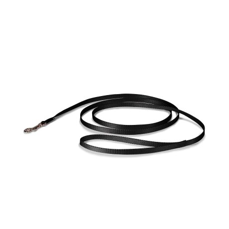 Petmate Nylon Dog Leash 1"X6' Black