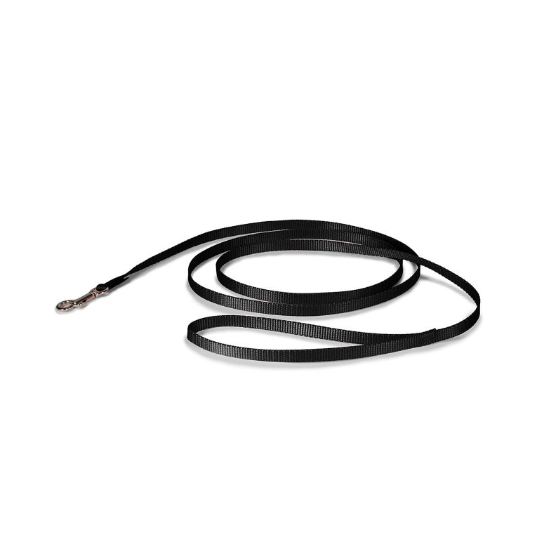 petmate-nylon-dog-leash-1x6-black