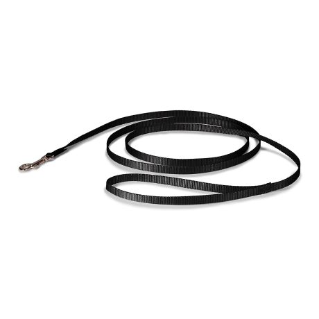 Petmate Nylon Dog Leash 3/8"X6' Black