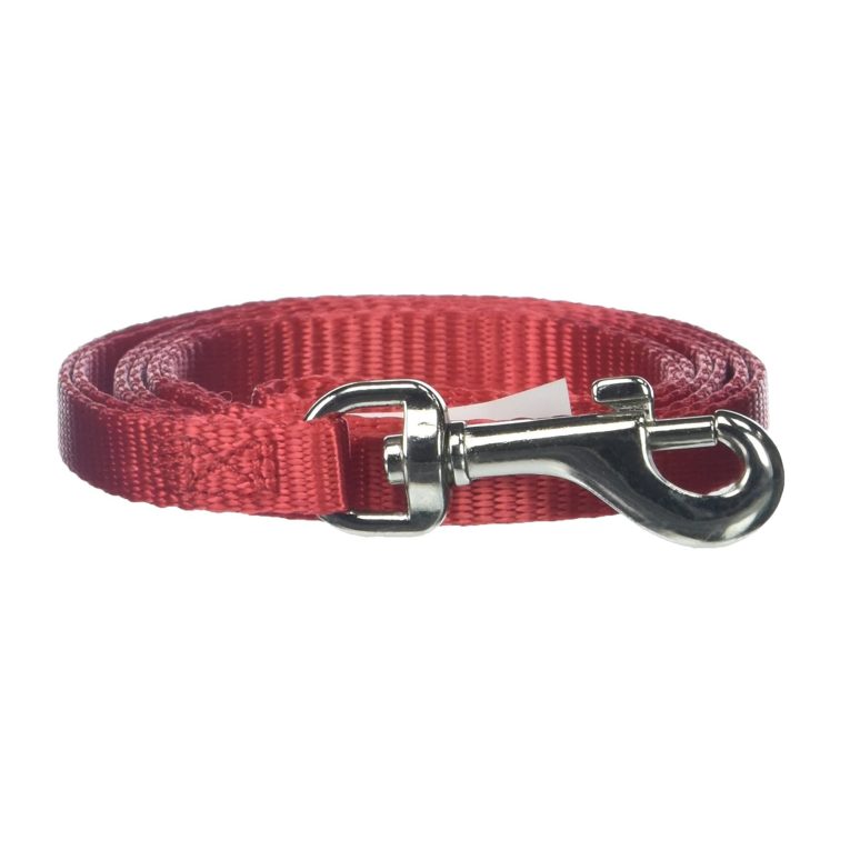 petmate-nylon-dog-leash-38x6-red