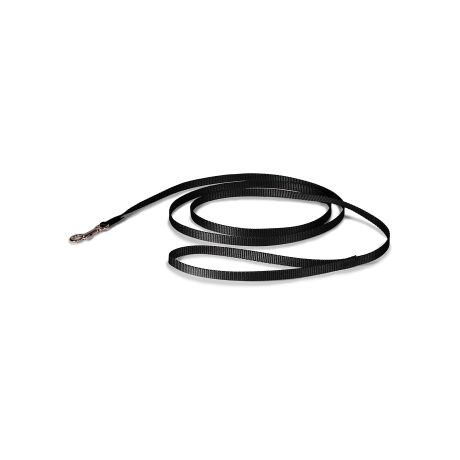 Petmate Nylon Dog Leash 5/8"X4' Black