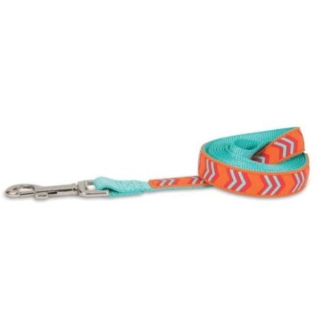 Petmate Rubber Dog Leash 3/4"X6' Orange Chevron
