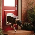 petsafe-original-2-way-small-pet-door-brown (1)