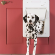petsafe-smartdoor-electronic-pet-door-large (1)