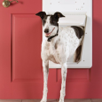 petsafe-smartdoor-electronic-pet-door-large (4)