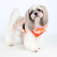 puppia-vivien-harness-a-red-m-neck-115-chest-15-22-2