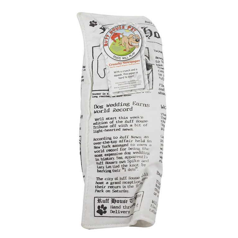 ruff-house-pet-newspaper-dog-toy-with-squeaker (1)