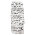 ruff-house-pet-newspaper-dog-toy-with-squeaker