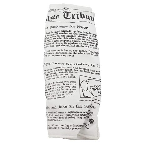 Ruff House Pet Newspaper Dog Toy with Squeaker