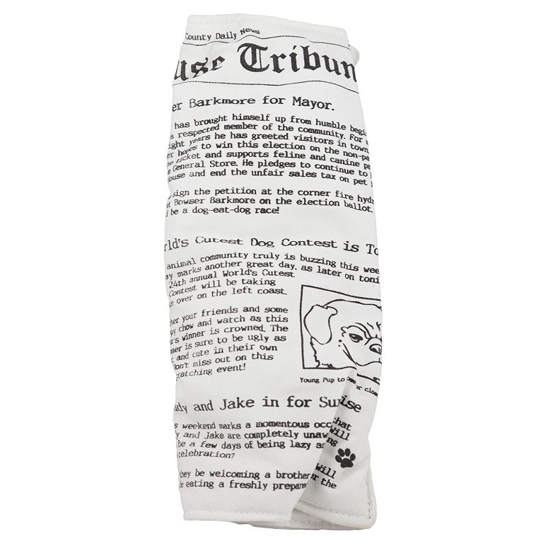 ruff-house-pet-newspaper-dog-toy-with-squeaker