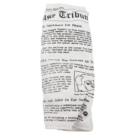 Ruff House Pet Newspaper Dog Toy with Squeaker