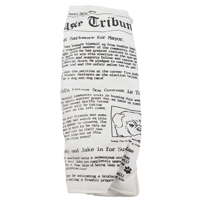 ruff-house-pet-newspaper-dog-toy-with-squeaker