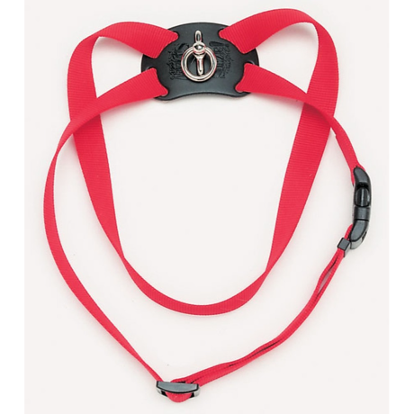 Coastal 3 4 and Size Right Harness Medium Red